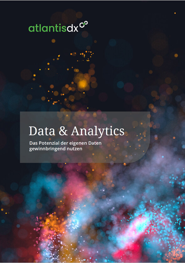 Grafik: Titelseite Whitepaper Data und Analytics