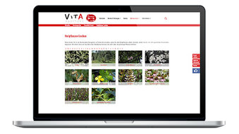 Vita-Apotheke - Relaunch des Internetauftritts mit TYPO3 Montage: Laptop mit geöffneter Website