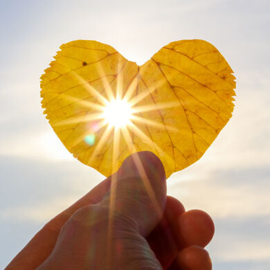 Foto: Blatt in Herzform, wird von Hand gehalten, Sonne scheint durch das Blatt