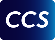 Logo von CCS Content Conversion Specialists GmbH